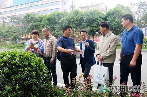 电竞比赛押注app