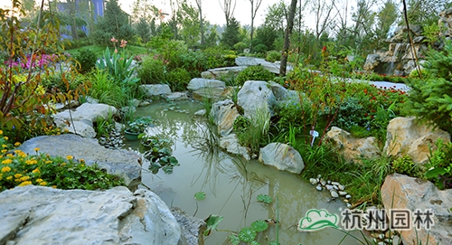 电竞比赛押注app