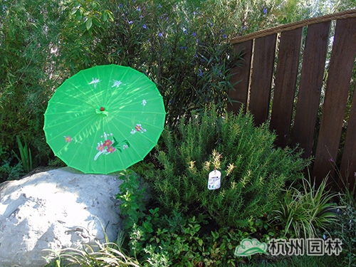 电竞比赛押注app