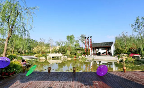 电竞比赛押注app