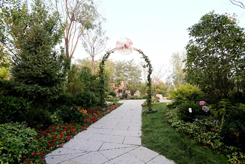 电竞比赛押注app