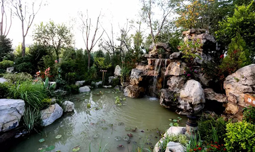 电竞比赛押注app