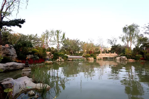 电竞比赛押注app