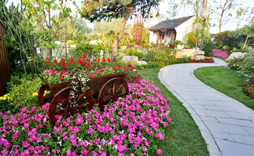 电竞比赛押注app