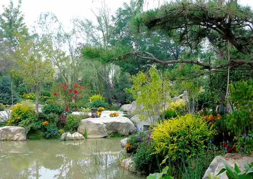 电竞比赛押注app