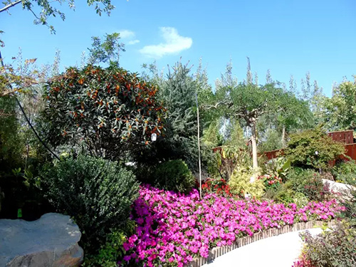 电竞比赛押注app