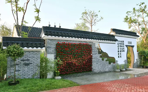 电竞比赛押注app