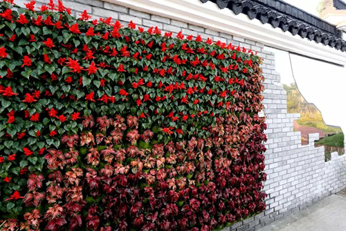 电竞比赛押注app