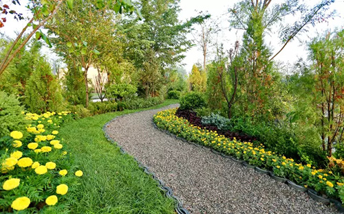 电竞比赛押注app