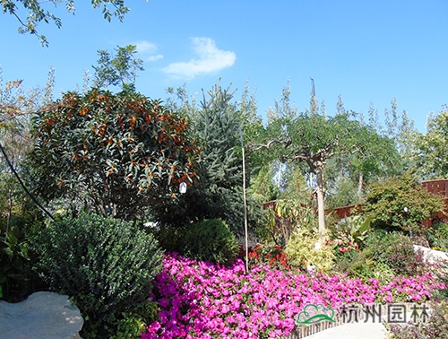 电竞比赛押注app