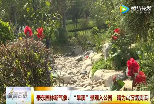 电竞比赛押注app