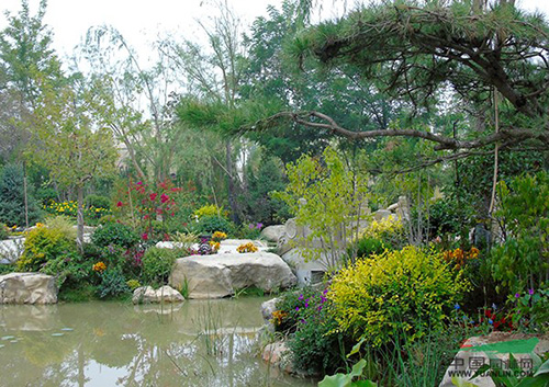 电竞比赛押注app