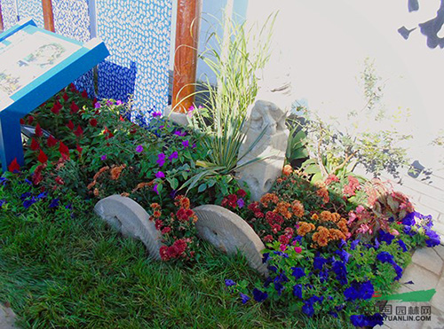 电竞比赛押注app