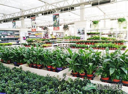 电竞比赛押注app