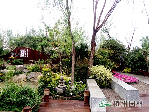 电竞比赛押注app