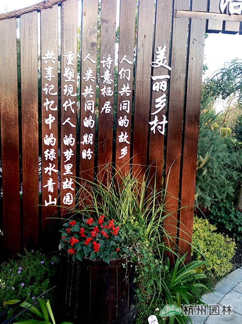 电竞比赛押注app