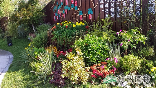 电竞比赛押注app