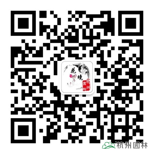 电竞比赛押注app