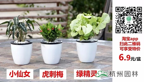 电竞比赛押注app