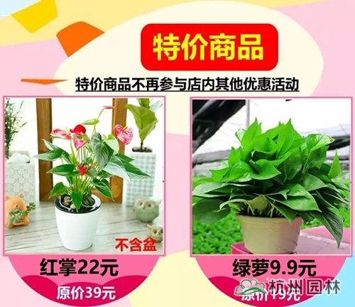 电竞比赛押注app