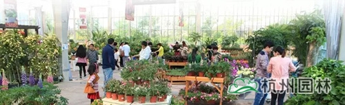 电竞比赛押注app