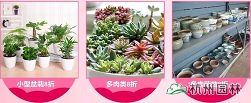 电竞比赛押注app