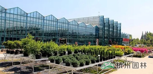 电竞比赛押注app