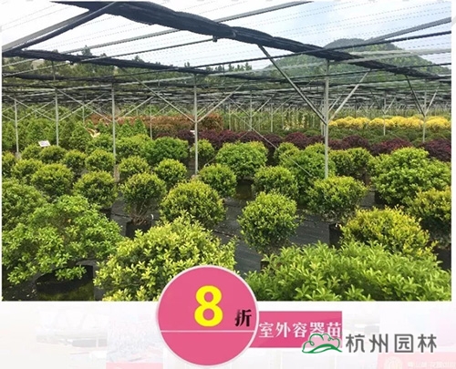 电竞比赛押注app