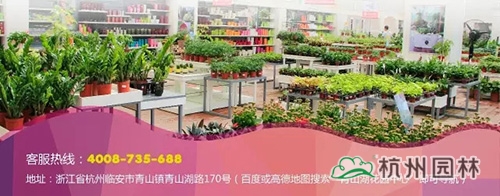 电竞比赛押注app