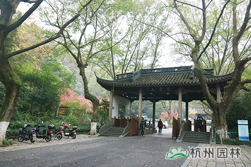 电竞比赛押注app