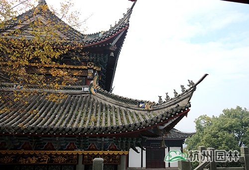 电竞比赛押注app