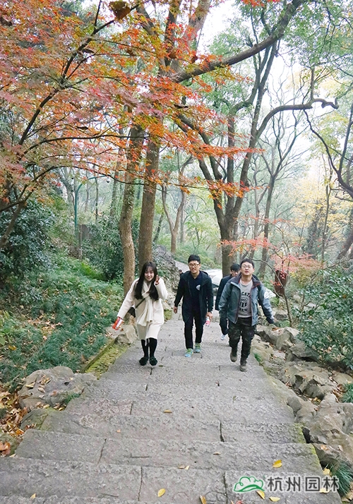 电竞比赛押注app