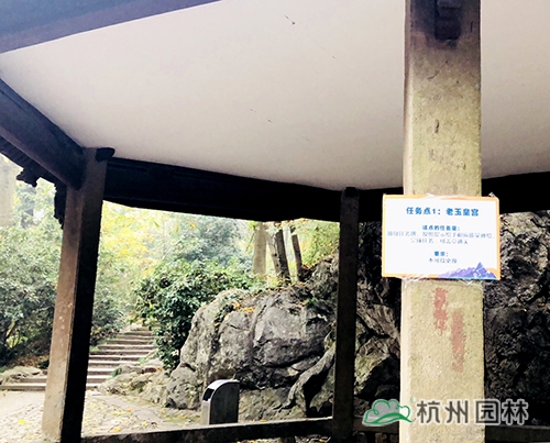 电竞比赛押注app