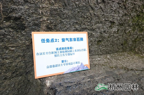 电竞比赛押注app