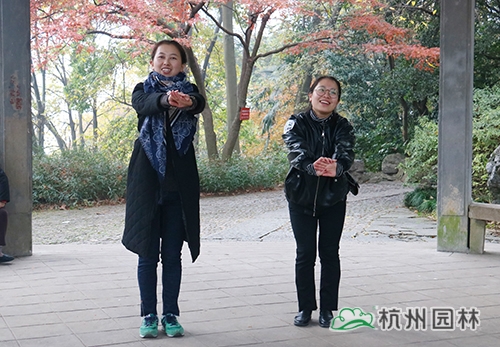 电竞比赛押注app