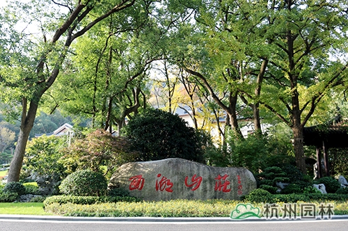 电竞比赛押注app