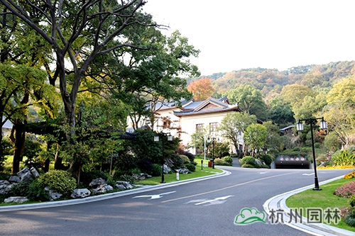 电竞比赛押注app