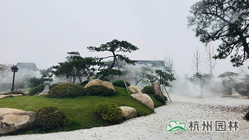 电竞比赛押注app