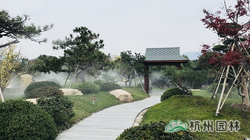 电竞比赛押注app