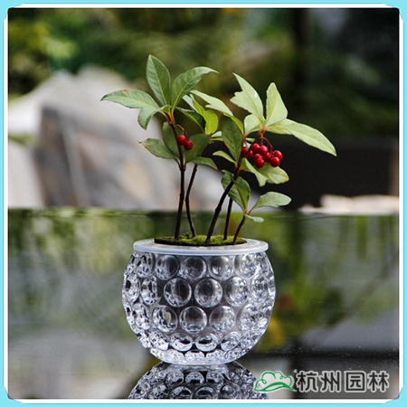 电竞比赛押注app