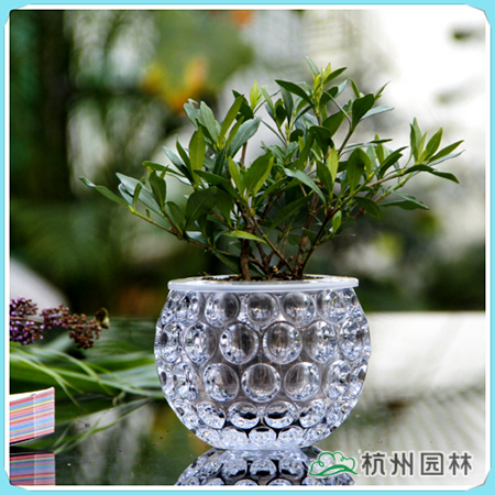 电竞比赛押注app