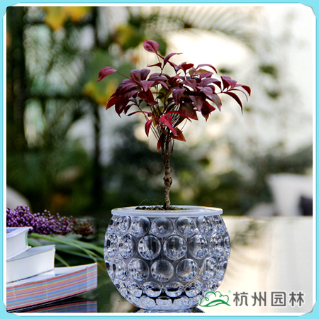 电竞比赛押注app