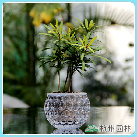 电竞比赛押注app