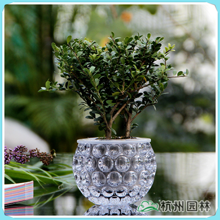 电竞比赛押注app