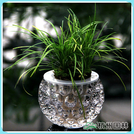 电竞比赛押注app