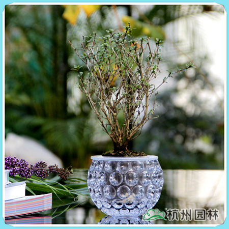 电竞比赛押注app