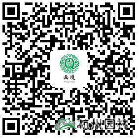 电竞比赛押注app