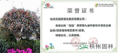 电竞比赛押注app