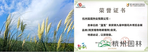 电竞比赛押注app