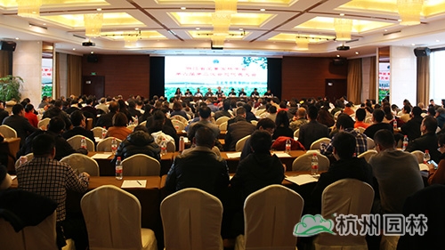 电竞比赛押注app